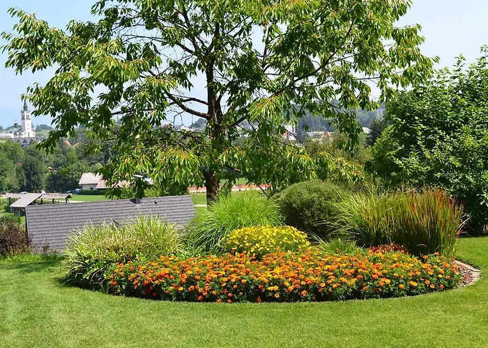 לינה וארוחת בוקר Mini שקופיה-לוקה