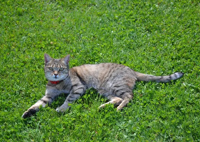 krevet i doručak Mini