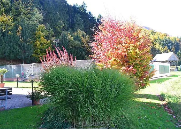 Mini שקופיה-לוקה